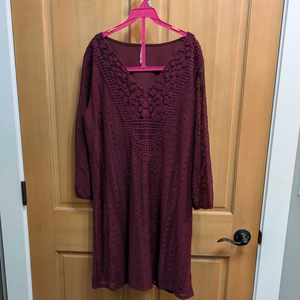 Xhilaration Deep Red Lace Dress